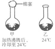 某同学为探究肉汤变质是由空气细菌引起的,将烧开的肉汤分装在甲,乙