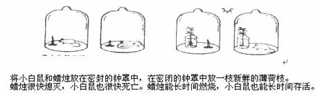 阅读下面资料重温科学家的研究过程回答问题