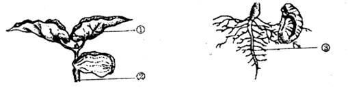 难度: 使用次数:12 入库时间:none